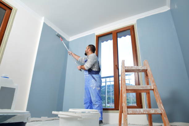Best Post-Construction Mold Inspection  in Janesville, WI