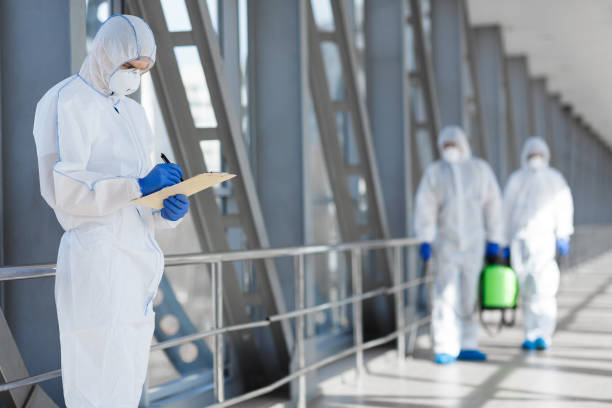 Best Mold Removal for HVAC Installations  in Janesville, WI
