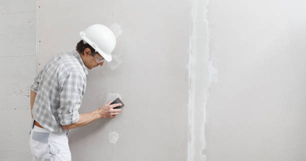 Best Residential Mold Inspection & Testing  in Janesville, WI