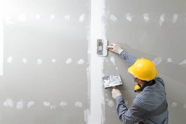Forensic Mold Investigation in Janesville, WI