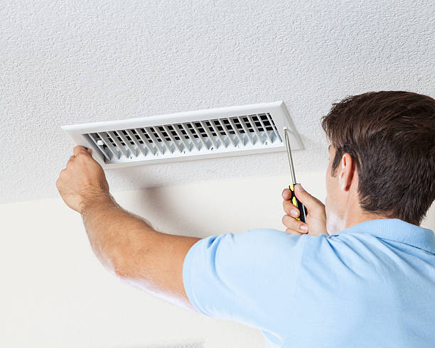 Best Mold Removal for HVAC Installations  in Janesville, WI