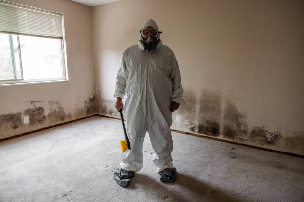 Best Commercial Mold Inspection  in Janesville, WI