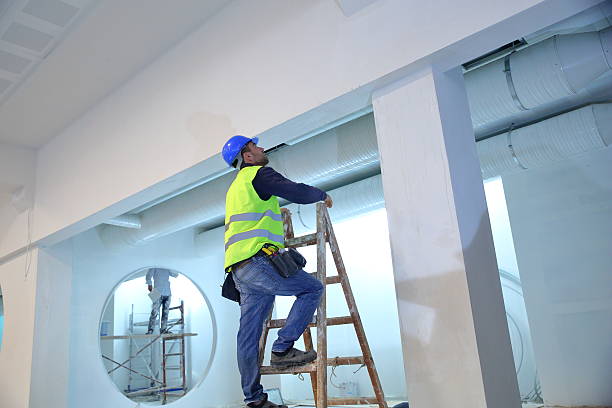 Best Industrial Mold Remediation  in Janesville, WI
