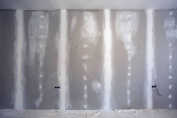 Best Residential Mold Inspection & Testing  in Janesville, WI
