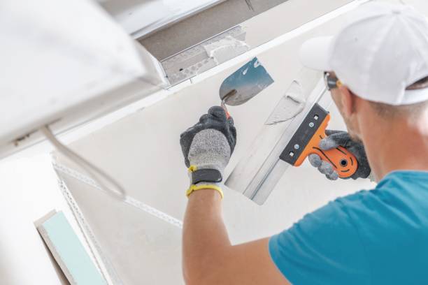 Best Commercial Mold Inspection  in Janesville, WI